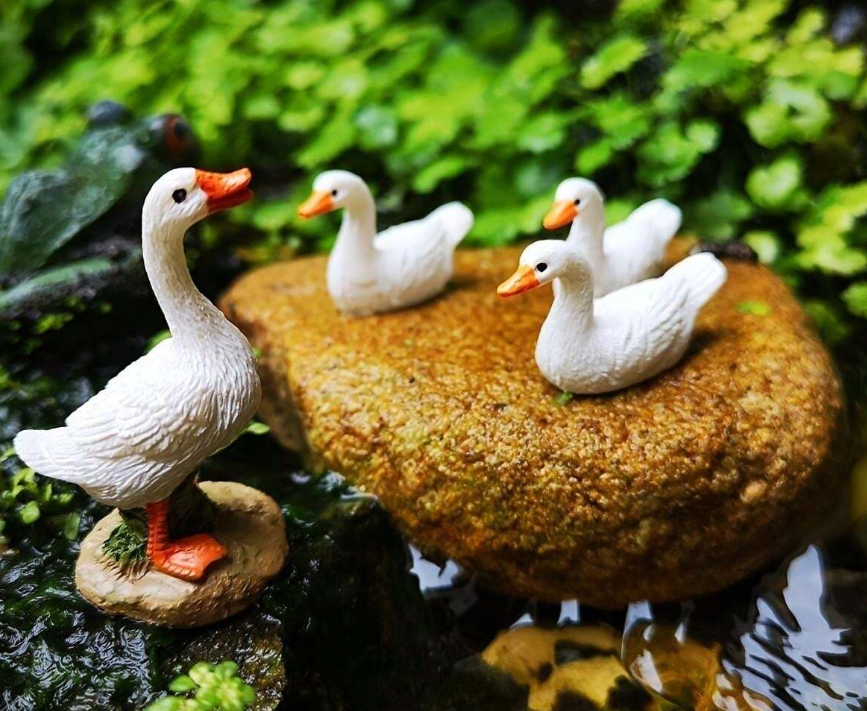 Family of Ducks - FD1