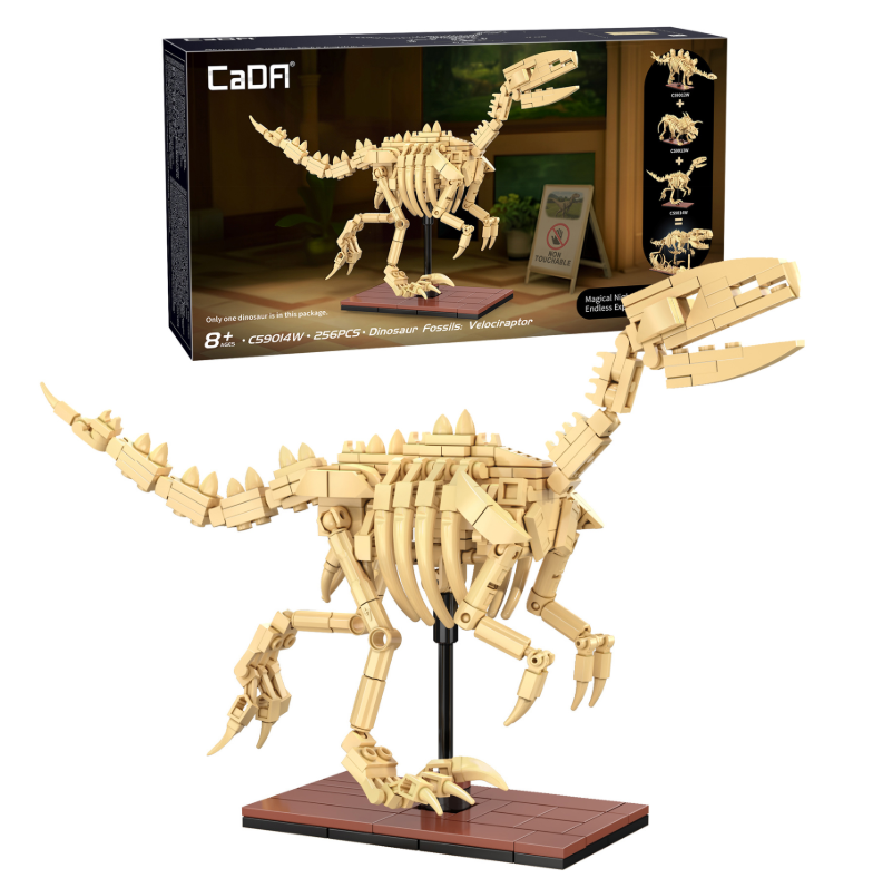 Dinosaur Fossils: Velociraptor C59014W