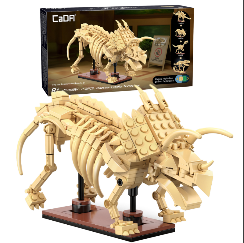 Dinosaur Fossils: Triceratops C59013W