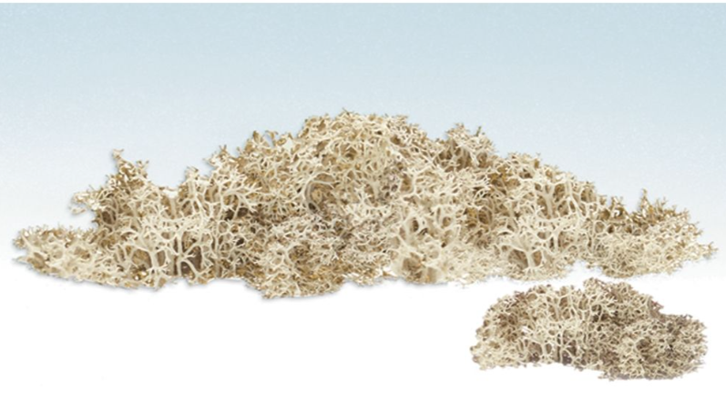 Woodland Scenics - Natural Lichen