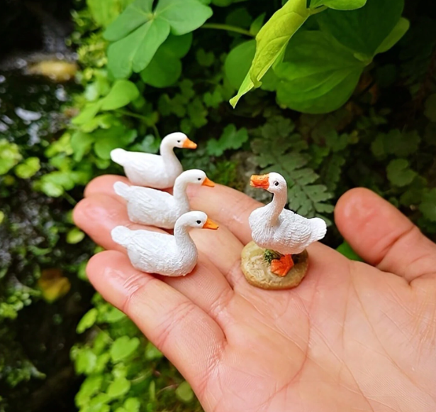 Family of Ducks - FD1