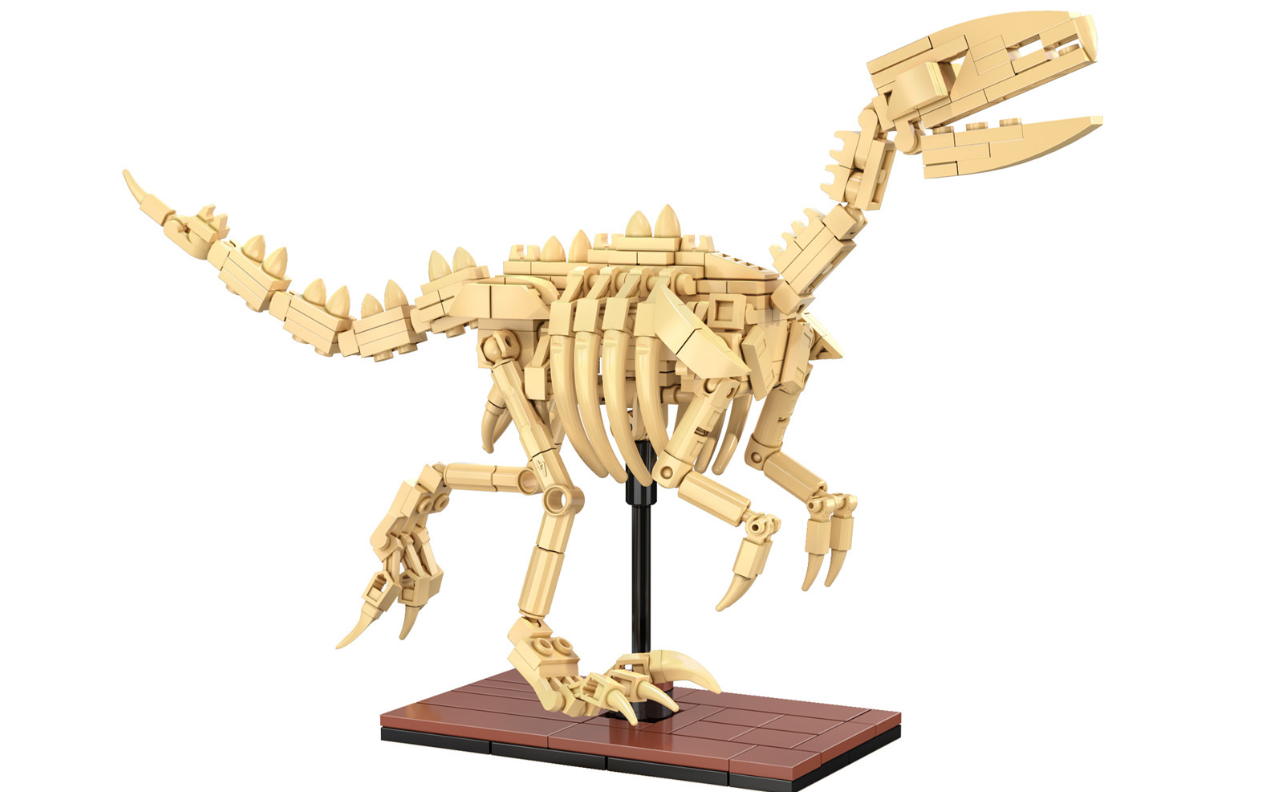 Dinosaur Fossils: Velociraptor C59014W