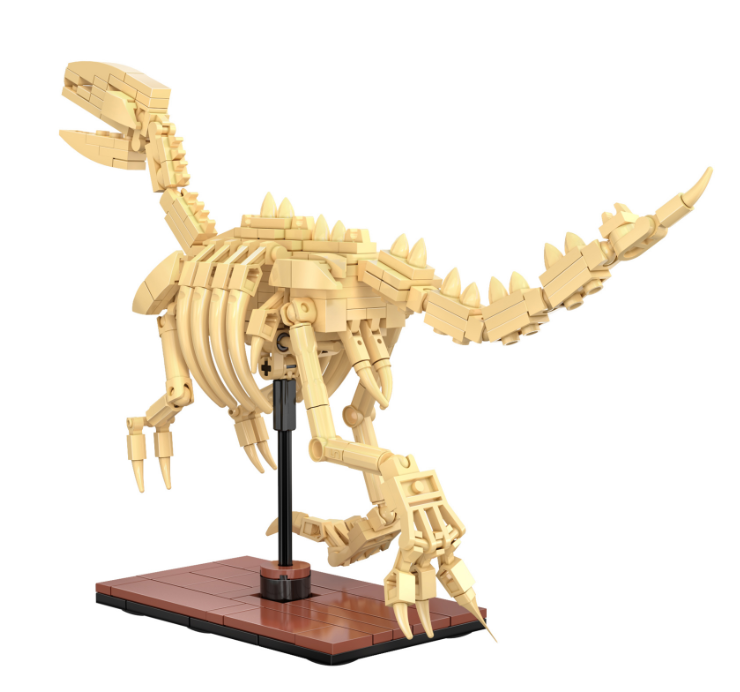 Dinosaur Fossils: Velociraptor C59014W