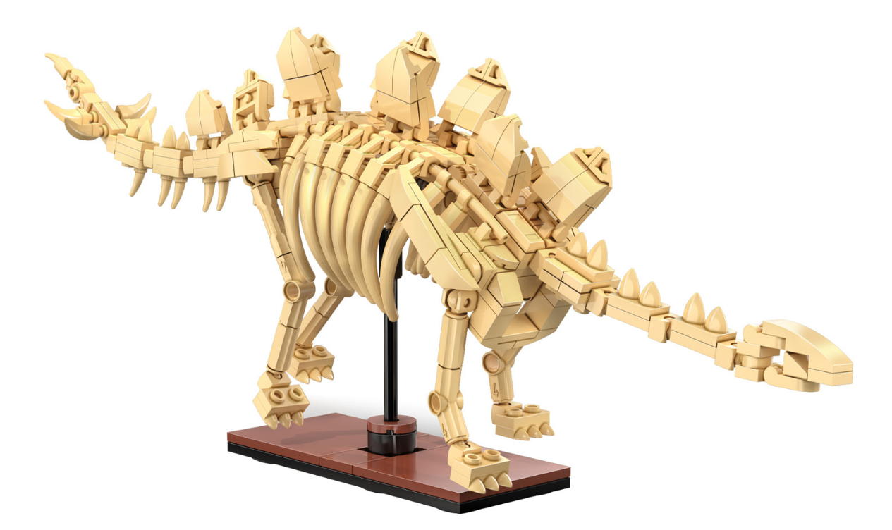 Dinosaur Fossils: Stegosaurus C59012W