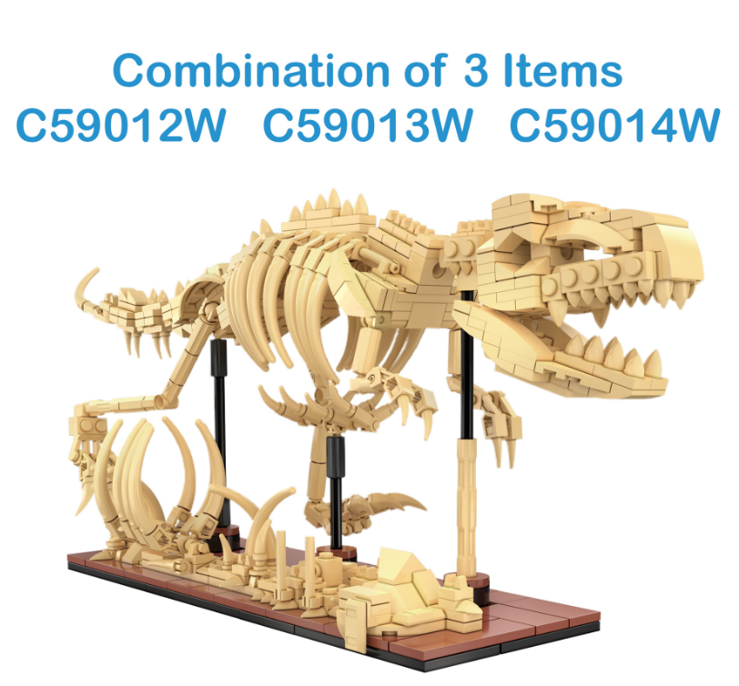 Dinosaur Fossils: Triceratops C59013W