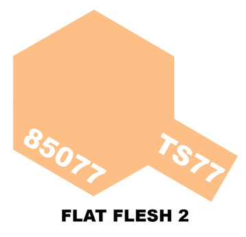 Tamiya Spray Paint 85077 TS-77