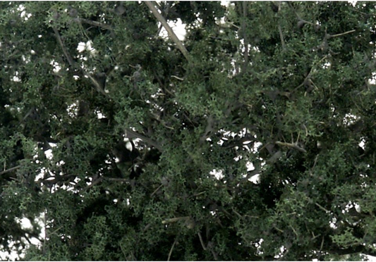 Woodland Scenics - Dark Green Fine Leaf Foliage