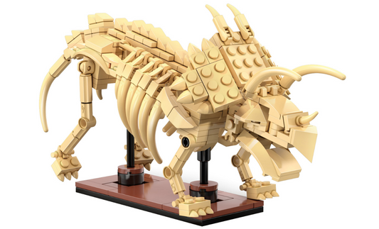 Dinosaur Fossils: Triceratops  C59013W boxed