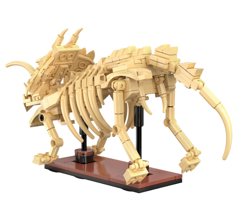 Dinosaur Fossils: Triceratops  C59013W